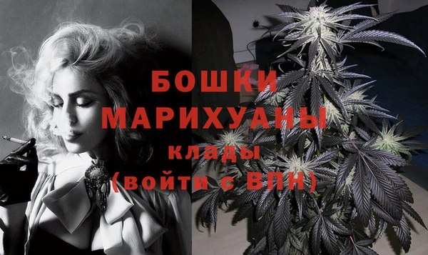 спиды Ладушкин