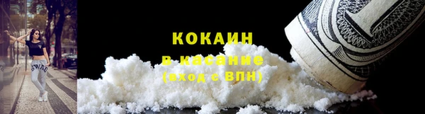 спиды Ладушкин