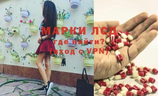 спиды Ладушкин