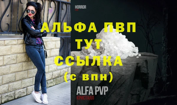 спиды Ладушкин