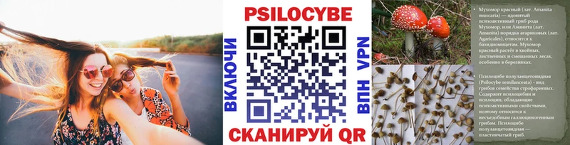 Галлюциногенные грибы прущие грибы Талица