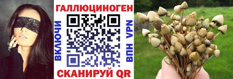 Галлюциногенные грибы прущие грибы  Талица 