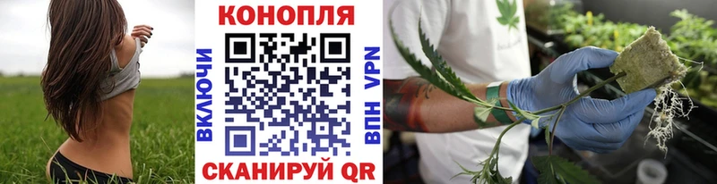 Каннабис индика  Талица 